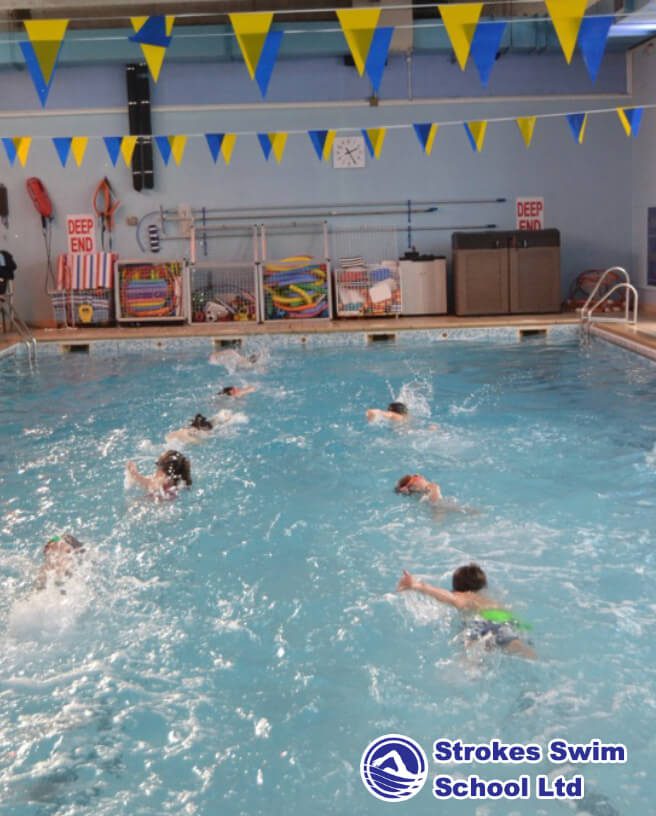 Strokes Swim School Full Lanes Class